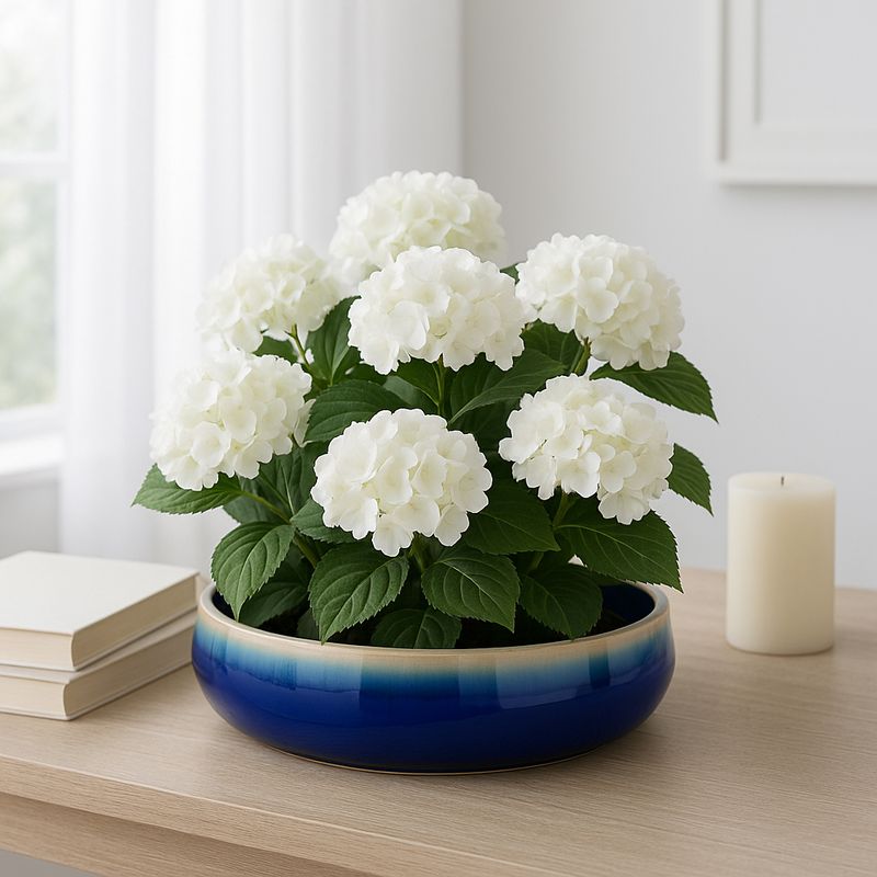HANLEYPORT BLUE PLANTER 4 (IN) - Imagen 2