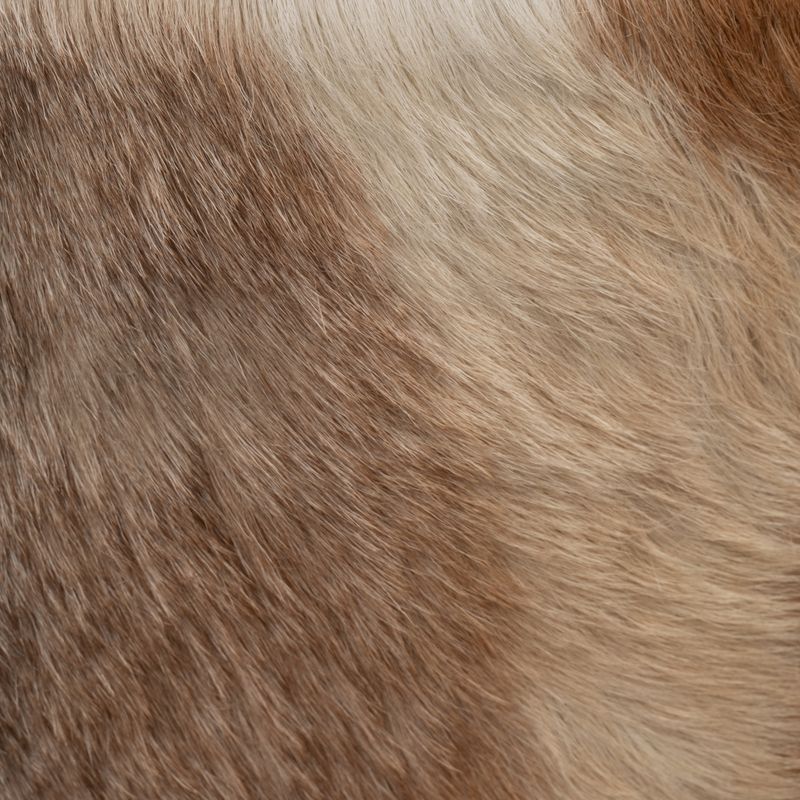 ELMONTHAVEN IVORY OTTOMAN 18 (IN) - Imagen 6